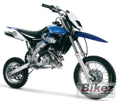 2008 Generic Mini Trigger X photo